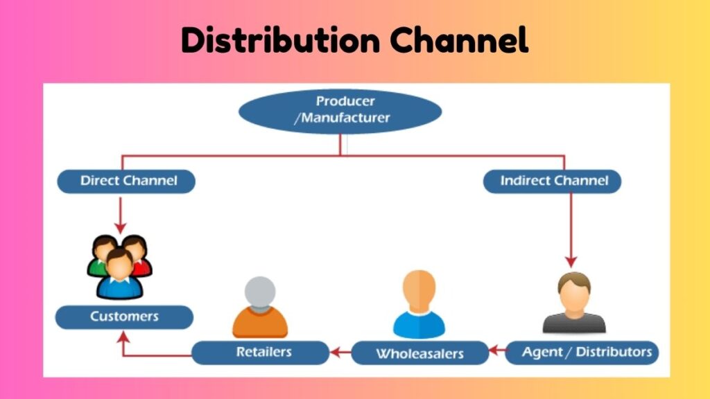 Understanding Distribution Channels